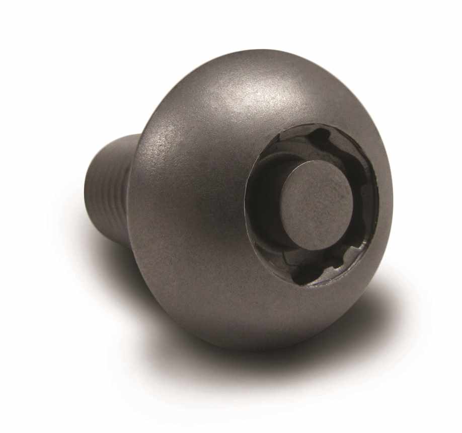 Tornillo de seguridad Anti Robo